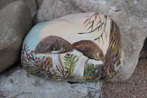 Bild 16